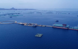 2022年我國(guó)海洋經(jīng)濟(jì)平穩(wěn)增長(zhǎng) 生產(chǎn)總值達(dá)約9.5萬(wàn)億元