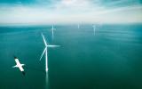 殼牌和埃尼科合資公司與荷蘭海上風電承包商vanOord攜合作生態(tài)海上風電場