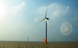 Ecowende 和荷蘭海上風電承包商Van Oord 將合作建造生態(tài)海上風電場