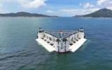 海洋能源工程2023年度盤點(diǎn)