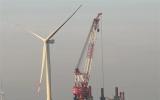 龍源振華新年首個海上風(fēng)電運維項目圓滿收官