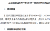 招標(biāo)公告：三峽能源山東牟平300MW海上風(fēng)電項(xiàng)目融合共建工程項(xiàng)目