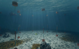 Ocean Harvesting在海試前為InfinityWEC設(shè)計(jì)更新籌集50萬(wàn)歐元