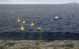 瑞典CorPower Ocean與挪威科技大學(xué)攜手推進(jìn)AI控制的波浪能技術(shù)