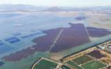 福建首個(gè)海上光伏項(xiàng)目——東山杏陳180兆瓦海上光伏電站項(xiàng)目已進(jìn)入全面收官階段