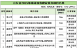 《關(guān)于2025年海洋強(qiáng)省建設(shè)重點(diǎn)項(xiàng)目名單的通知》發(fā)布！山東海洋強(qiáng)省建設(shè)6個(gè)重點(diǎn)海上風(fēng)電項(xiàng)目