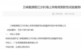 三峽陽江沙扒海上風(fēng)電場預(yù)防性試驗(yàn)服務(wù)項(xiàng)目中標(biāo)公示