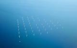英國批準愛爾蘭海1.5吉瓦Morgan海上風電項目