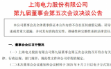 上海電力擬投建奉賢1號海上光伏項目